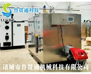 1噸燃?xì)猓ㄓ停┱羝l(fā)生器 現(xiàn)貨供應(yīng)，工廠直銷，規(guī)格型號(hào)眾多，可來(lái)電咨詢