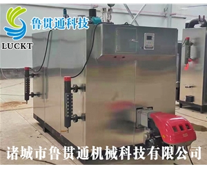 燃?xì)猓ㄓ停┱羝l(fā)生器 現(xiàn)貨供應(yīng)，工廠直銷，規(guī)格型號(hào)眾多，可來電咨詢