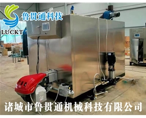 1噸燃?xì)猓ㄓ停┱羝l(fā)生器 現(xiàn)貨供應(yīng)，工廠直銷，規(guī)格型號(hào)眾多，可來電咨詢